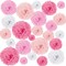 52 Pieces Tissue Paper Pom Poms Valentine's Day Hanging Paper Flowers for Bridal Shower, Wall Decoration for Wedding Baby Showers Graduations Birthday Party Tea Party- Assorted Sizes 6" to 14"